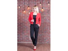 ������ EL-MIRA ������ �11 ����: ����������, 1610