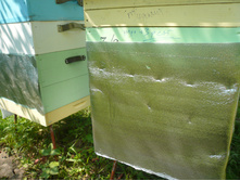 �� ������.JPG