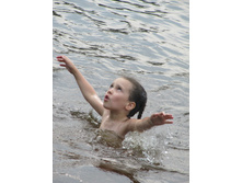 ������ 783.jpg