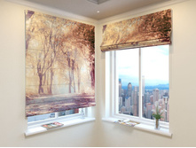 ������� ������.jpg