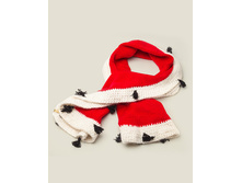 ���� �����������