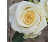 ���� �� �� ����.jpg