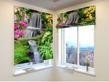 ������ �����.jpg