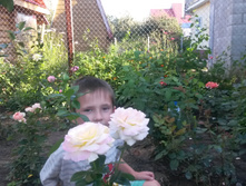 ������ ��� �.�. 2016�