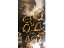 P 20160622 131732.jpg