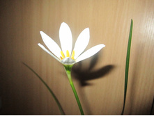 ���������� 002.jpg