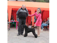 11182171 1849414511950326 817107296300620837 n.jpg