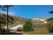 P 20160626 120316.jpg