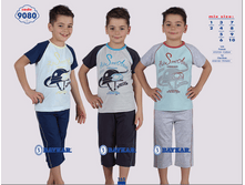 �������� 9080.png