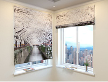 ����� ����������.jpg