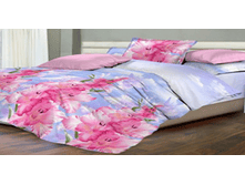 ��������� ����