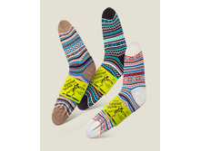 ����� �������� �����