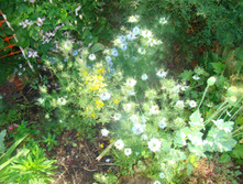 DSC05149 - �����.JPG