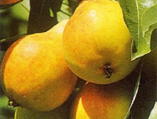 ����� ���� 320���. 1-����� (������� 20��).jpg