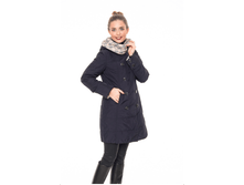 ����� ����