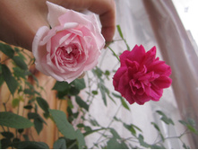 ���� 003.jpg