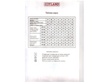 ����� 1.jpeg