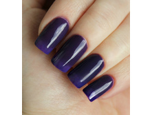 813-120 ���.jpg