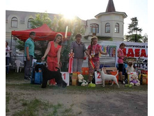 11214388 1858084854416625 8532096959666444666 n.jpg