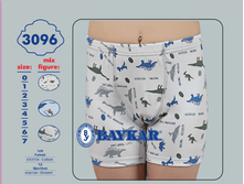 ������� 3096.png