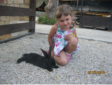 IMG 3830.JPG