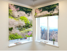 �������� ����.jpg