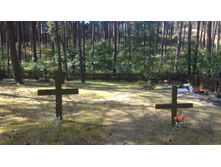 P 20160626 152820.jpg