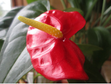 ����� 011.jpg