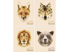 ������� ����� 80 � �� "WILD LIFE" ��������� 0022 BG {������}