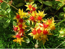 ������ ���������� ����������� 80