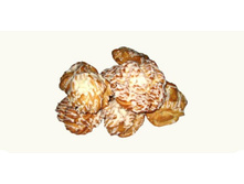 �������  �������� � ��������� ������  (2 ��)