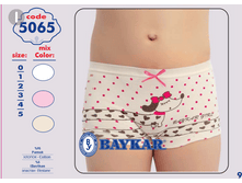 ����� 5065.png