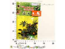 ��363291 ����� ��������� 12�� � ������ ��� ���� 120,0.jpg