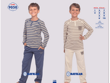 ������ 9050.png