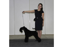 12183956 1936045579953885 6765060250712631528 o.jpg