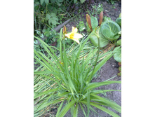 �������� ������.jpg