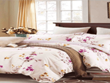 �������� ����