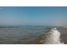 P 20160626 121706.jpg