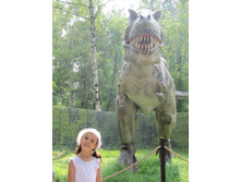 ������ 750.jpg