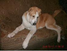 IMG 20160811 173842 35.jpg