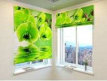 ������� �������.jpg