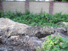 ������ 810.jpg