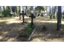 P 20160626 153005.jpg