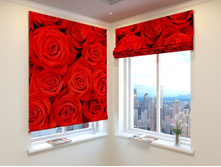 ������� ����.jpg