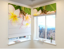 ������� ������.jpg