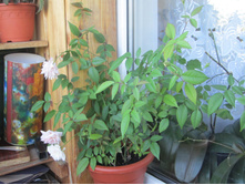 ���� 2014 201.jpg