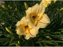 ����� ������� ��������???  ���� �����.