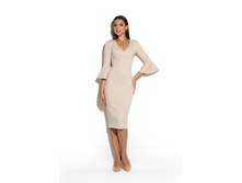 ������! 1295 �. (���� 1645 �.) DSP-234-45t