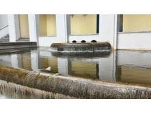 P 20160621 110353 HDR.jpg