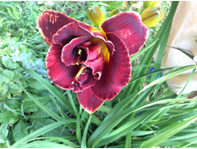 ���� �����. ������ �������.